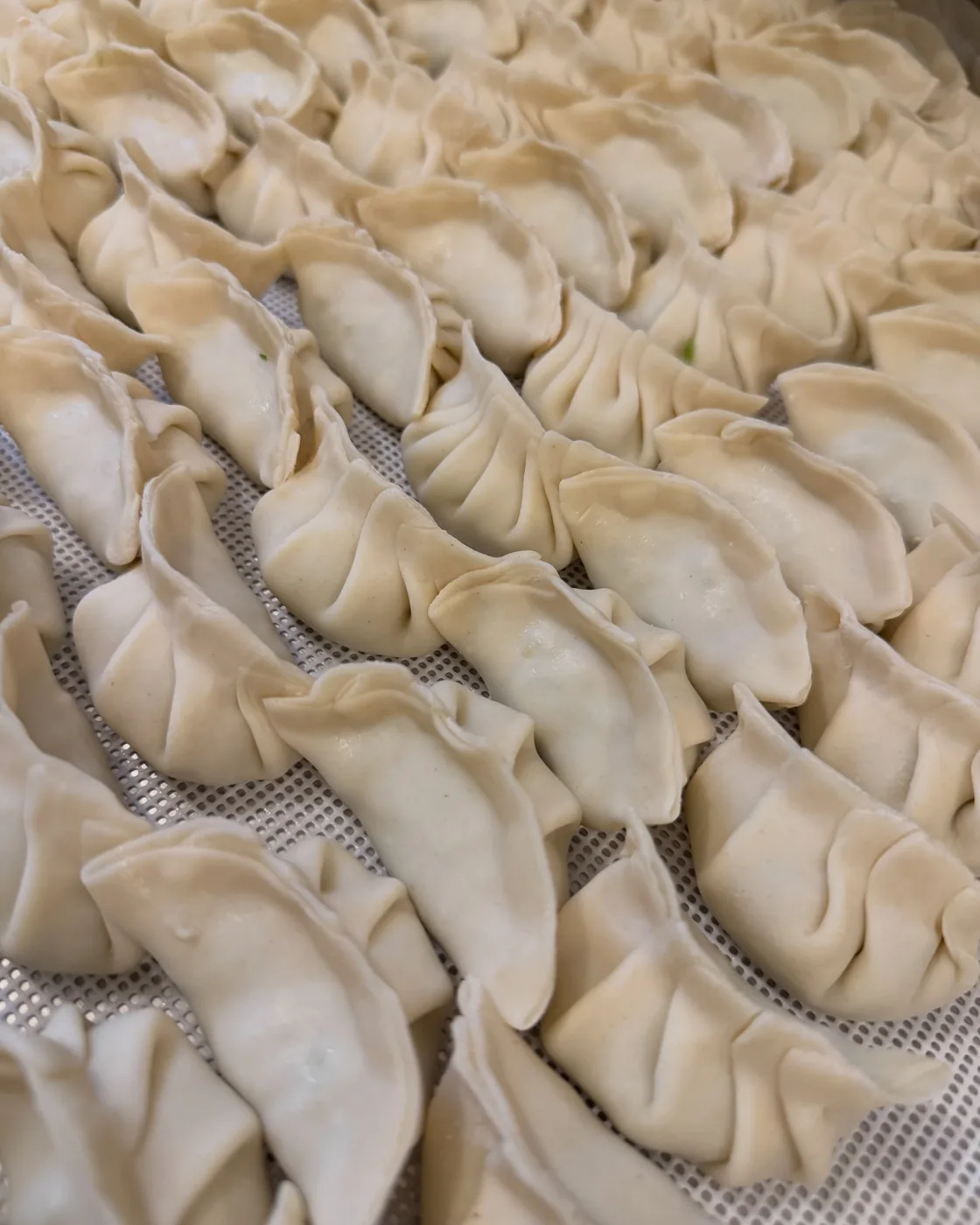 Momos pliés à la main, prêts pour la vapeur